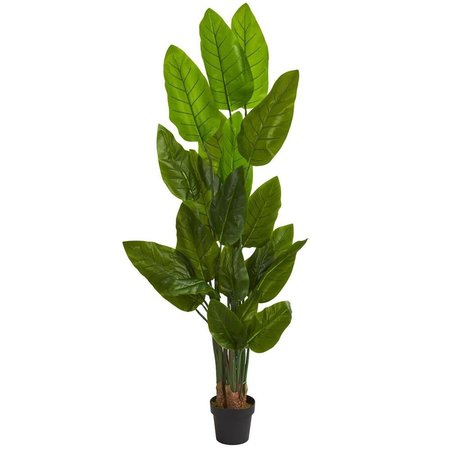 NEARLY NATURALS 6 ft. Canna Artificial Tree 5599